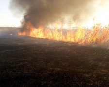 В Кривом Роге за последние сутки случилось 14 пожаров (фото)