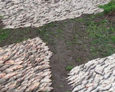 Ущерб 85 000 гривен: на Днепропетровщине задержали браконьеров (фото)