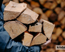 Взимку будемо з теплом: Україні виділять 2,6 мільярди гривень на дрова - Ірина Верещук