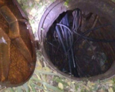 В Кривом Роге расхититель кабеля задержан на горячем (ФОТО)