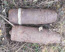 Снаряд вместо грибов: недалеко от Кривого Рога обнаружили опасную находку (фото)