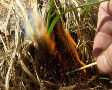 Жителям Кривого Рога напомнили о штрафе за сжигание листьев и сухой травы