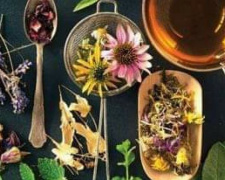 Исцеляющая сила растений и чайные композиции: криворожане могут посетить бесплатный мастер-класс
