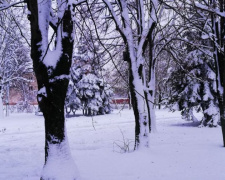 Борьба с непогодой: на улицах Кривого Рога работали 24 единицы снегоуборочной техники