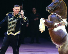 Криворожане смогут насладиться грандиозным представлением: премьера международной программы в цирке (ФОТО)