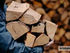 Готуємось до холодів: мешканці прифронтової Дніпропетровщини безкоштовно отримають дрова