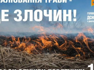 Причини пожеж в екосистемах – спалення сміття та сухостою