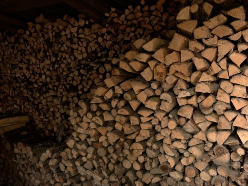 Українці отримають безкоштовно 5 000 вагонів дров: хто може розраховувати на допомогу?