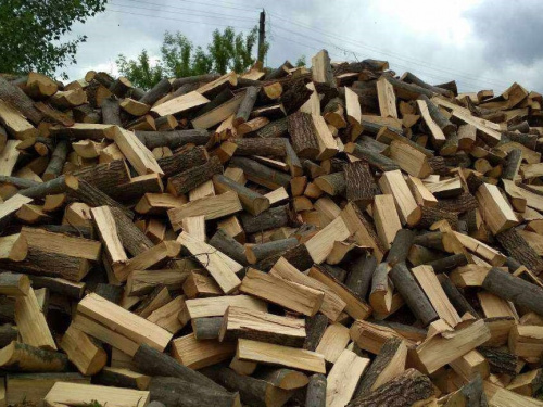 Отримати безкоштовно паливну деревину від держави: що треба пам’ятати?