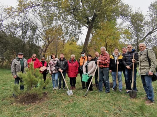 На 150 зелених насаджень більше: у парку імені Ф. Мершавцева висадили дерева