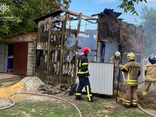 У Криворізькому районі сталася пожежа на приватній ділянці: подробиці від рятувальників