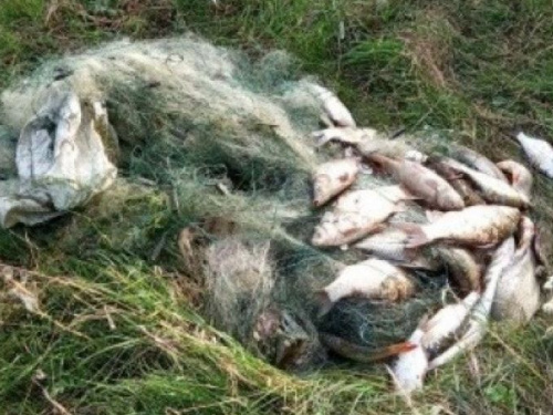 На Днепропетровщине за месяц выявлено более 340 нарушений и изъято более 300 килограмм рыбы (фото)