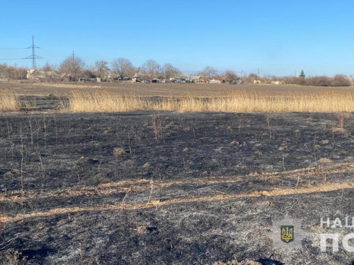 П&#039;ять років буцегарні загрожує жителю Дніпропетровщини за спалену траву