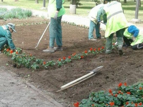 В Кривом Роге высадили 1000 кустов роз и 800 новых деревьев