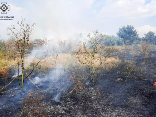 Пожежі в екосистемі Криворіжжя: рятувальники продовжують ліквідацію