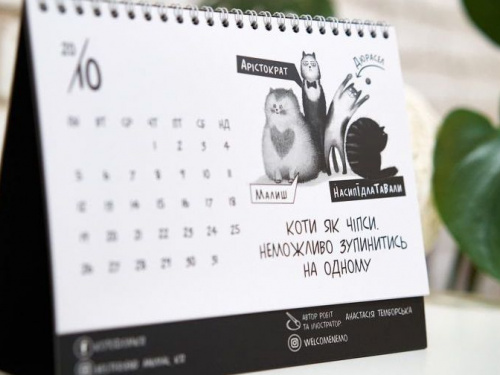Коти, як чіпси, важко зупинитися на одному: у Кривому Розі випустили благодійний "котячий" календар