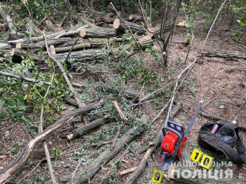 У Кривому Розі поліцейські викрили злочинну групу, яка займалась незаконною вирубкою лісу