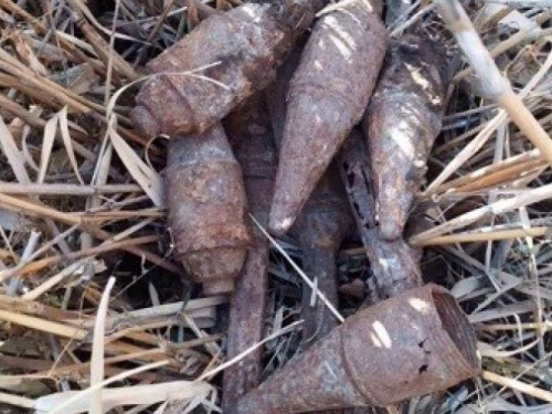 Вместо грибов - снаряды: в Криворожском районе нашли опасные предметы