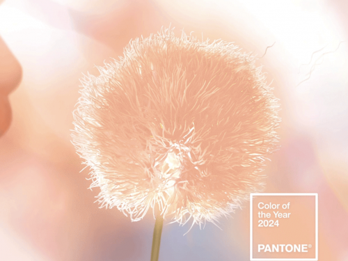 Головний колір 2024 року: інститут Pantone визначився з трендом