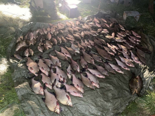 Карасі, окуні та лящі: на Криворіжжі у браконьєрів вилучили риби на понад пів мільйона гривень