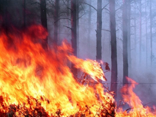 В Кривом Роге объявлен самый высокий уровень пожарной опасности