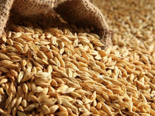 МЗС закликає країни світу не купувати у росії вкрадене українське зерно