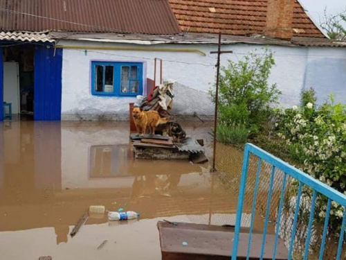 Под Кривым Рогом в затопленном посёлке ведутся работы по откачке воды в домах (фото)