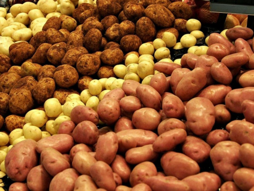 В Україні подорожчала картопля: скільки будемо платити