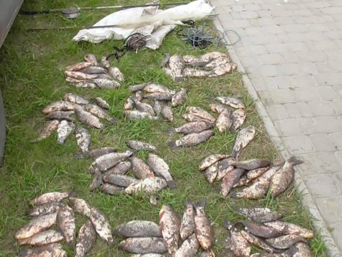 Незаконна риболовля: на Криворіжжі у браконьєра вилучили близько 130 риб