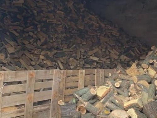На одном из предприятий Кривого Рога нашли склад с незаконно срубленной древесиной