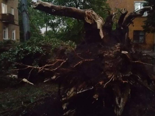 Последствия стихии в Кривом Роге: повреждены крыши в школах, детских садах и больницах