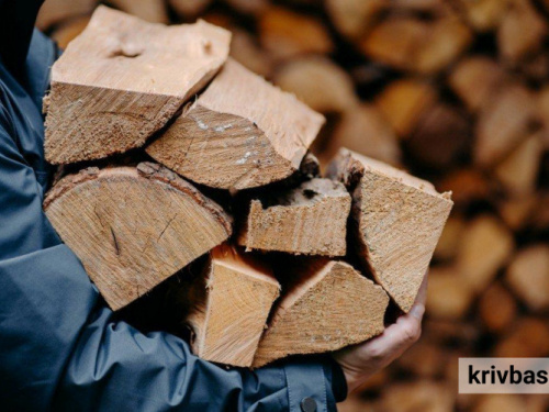 Взимку будемо з теплом: Україні виділять 2,6 мільярди гривень на дрова - Ірина Верещук
