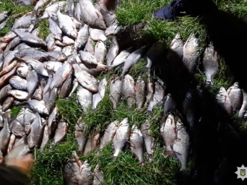 Незаконний вилов риби: на Дніпропетровщині затримали двох чоловіків