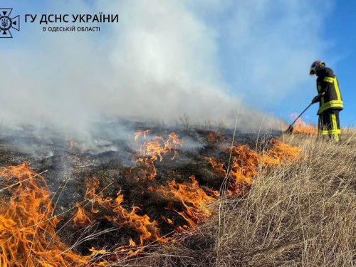 В Україні вже фіксуються пожежі в екосистемах – пожежні нагадують про відповідальність