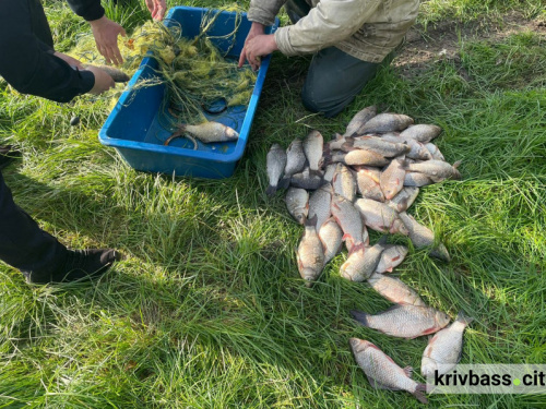 "Врожайний" вересень для рибного патруля Дніпропетровщини: результати роботи