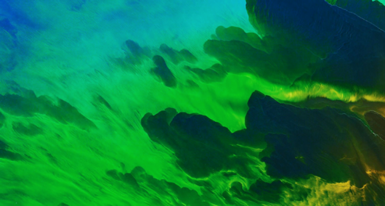 NASA показало красочные инфракрасные снимки Земли (ФОТО)