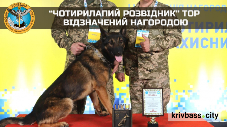 Службових собак відзначили нагородами на церемонії "Чотирилапий захисник"