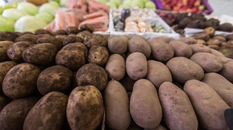 Як змінилися ціни на картоплю, капусту та моркву