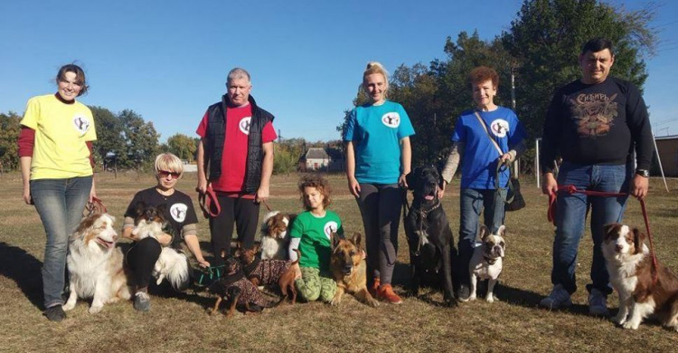 В Кривом Роге появились квалифицированные собаки-визитеры, помогающие людям