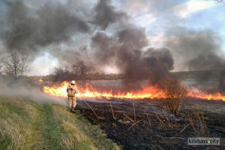 Недалеко от Кривого Рога выгорело четыре гектара сухостоя