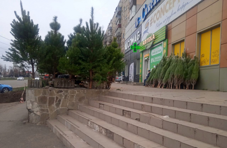 Фото krivbass.city