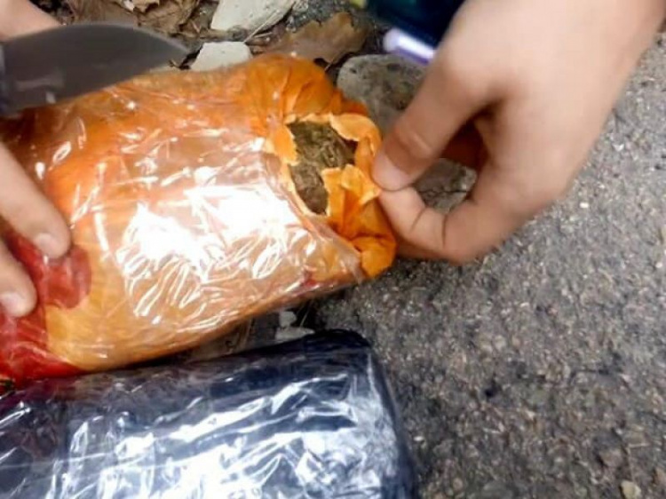 Сразу 800 грамм марихуаны переносил житель Кривого Рога для личного пользования(фото)