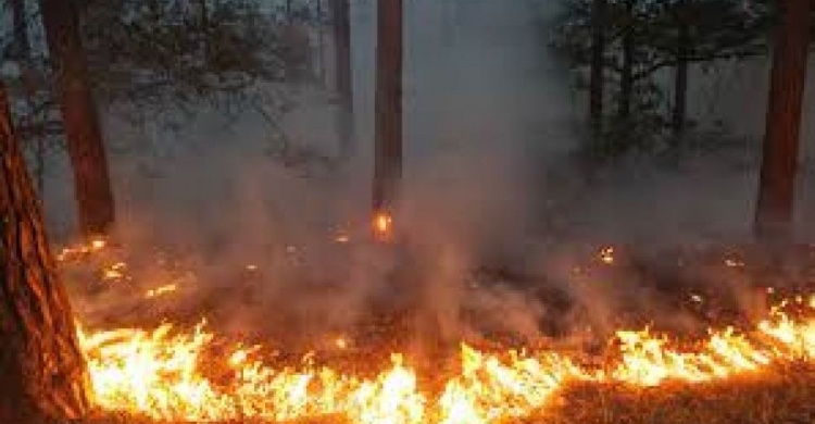 В Кривом Роге за неделю случилось 27 пожаров