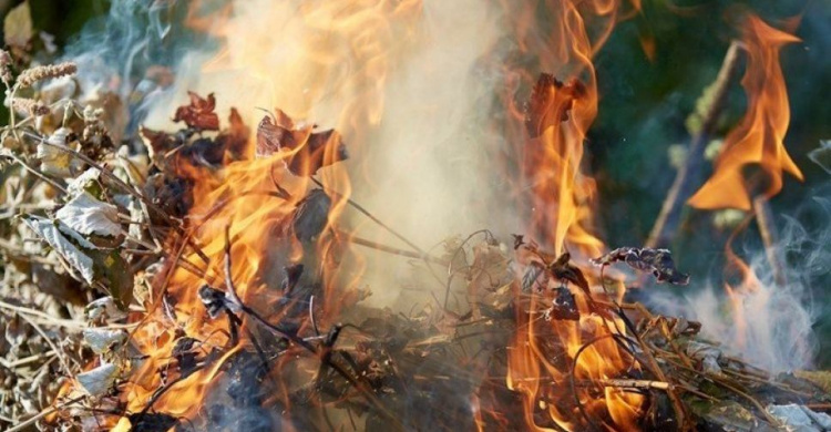 В управлении экологии напомнили криворожанам о вреде сжигания листьев