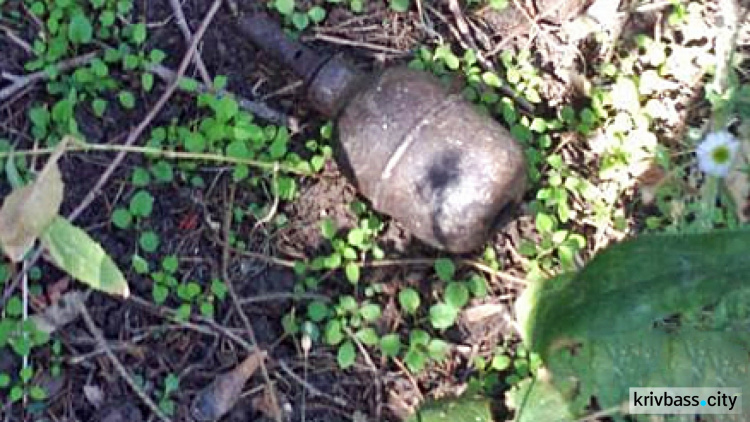 В одном из парков Кривого Рога прохожие обнаружили настоящую гранату (ФОТО)