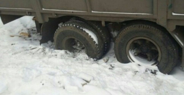 Под Кривым Рогом грузовик попал в снежный плен