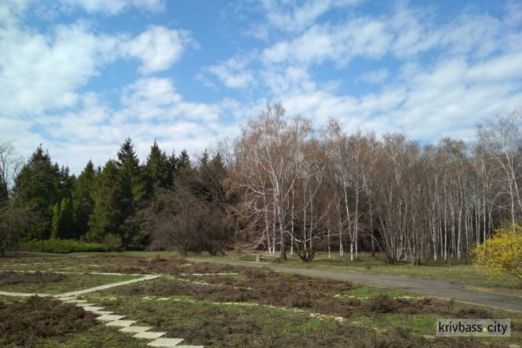 В Кривом Роге для посетителей закрыли территорию Ботанического сада