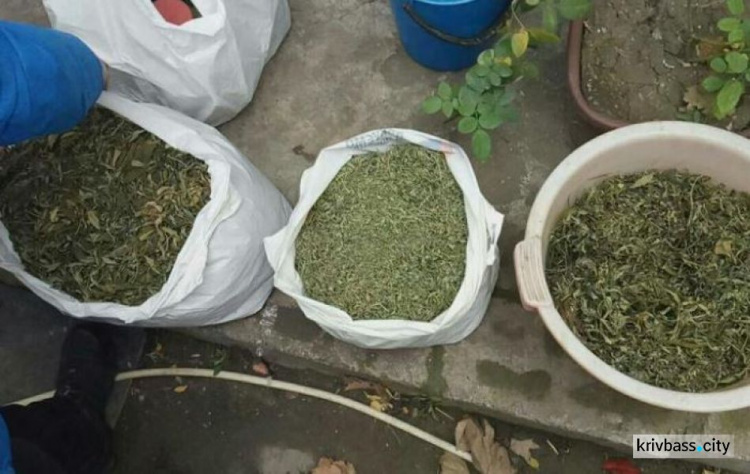Под Кривым Рогом полиция обнаружила целый склад наркотиков на полмиллиона гривен (ФОТО)