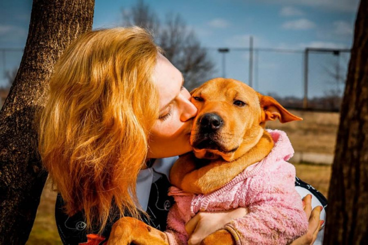 Жителей Кривого Рога приглашают "усыновить" бездомных собак