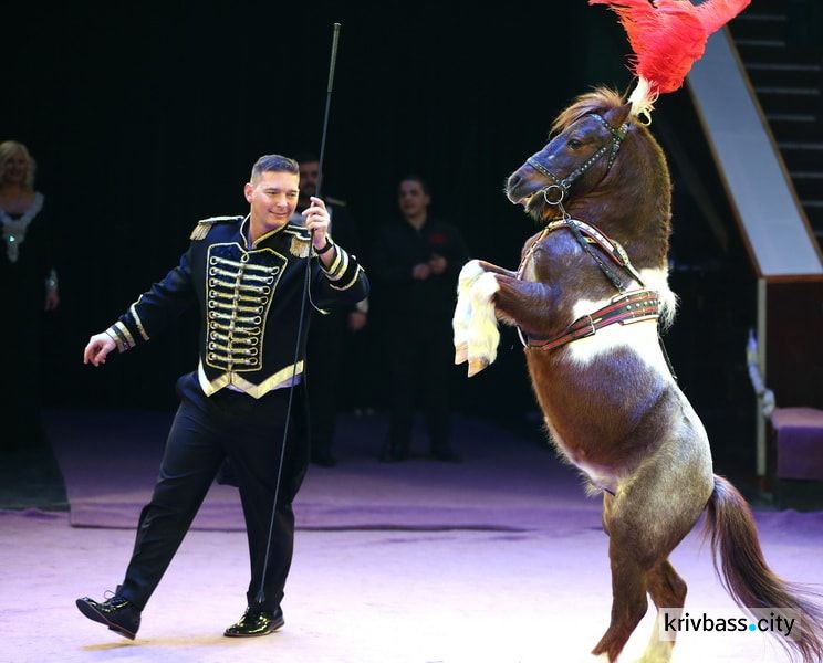 Криворожане смогут насладиться грандиозным представлением: премьера международной программы в цирке (ФОТО)
